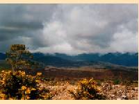 Tasmanien - Australiens zweite Insel