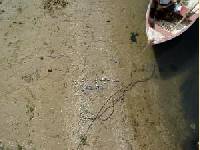 Urlaub jetzt planen: Rewe-Touristik bietet Vorteile f�r Fr�hbucher