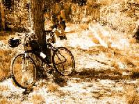 Kein Wildwuchs mehr: Neues Gesetz für Mountainbiking im italienischen Trentino